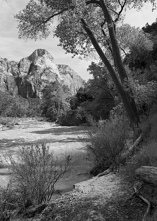 Virgin River, Zion NP
