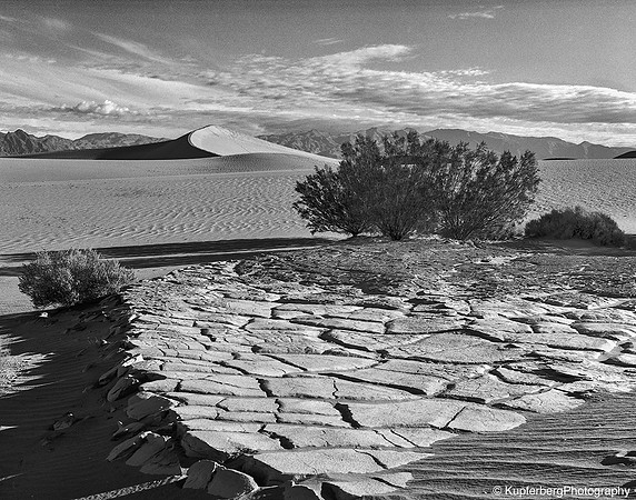 Dried Sand and Sage Bush_Death Valley