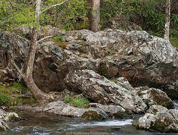 Tree with Rocks