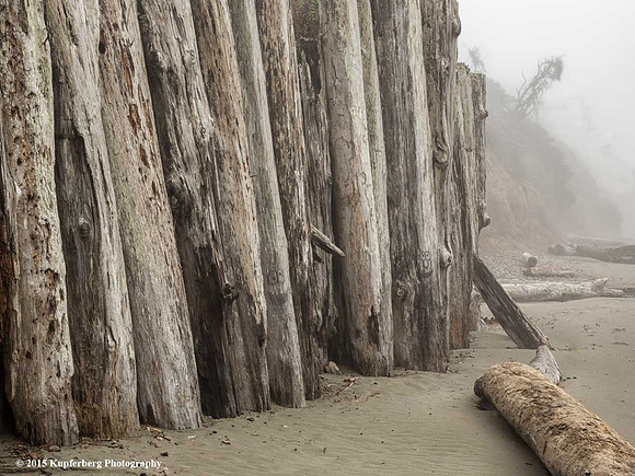 Log Wall- Second Beach Kalaloch Lodge