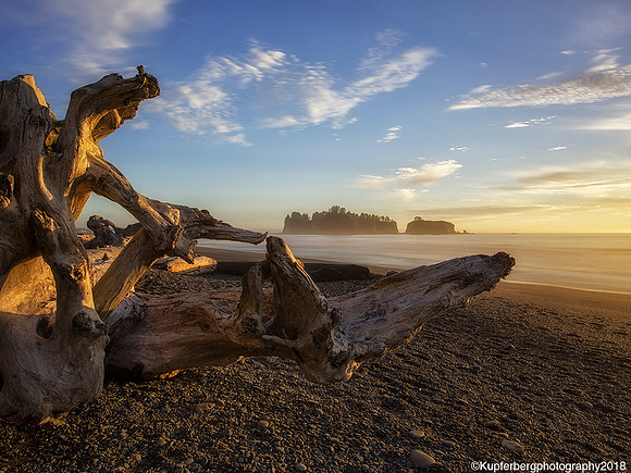 Driftwood at Sunset, Rialto Beach, WA