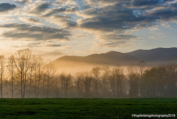 Morning Fog at Sunrise, Great Smokey NP