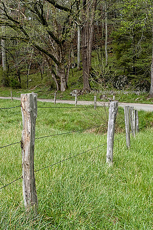 Fence