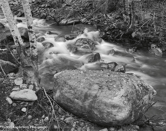 Hama Hama River-East Slope of Olympic NP