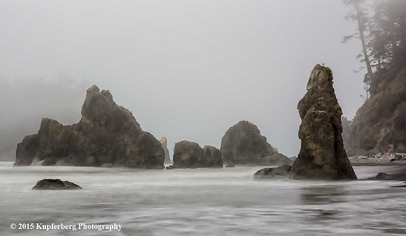 Ruby Beach in Fog