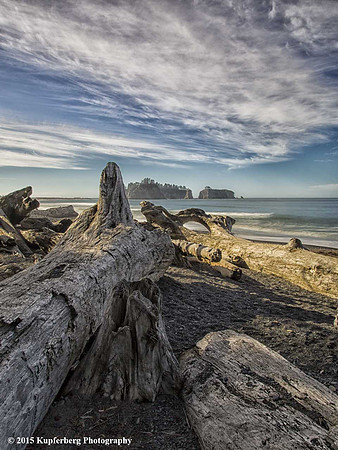 Logs-Rialto Beach