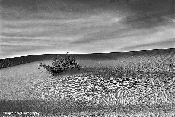 Dunes in the PM-Death Valley NP