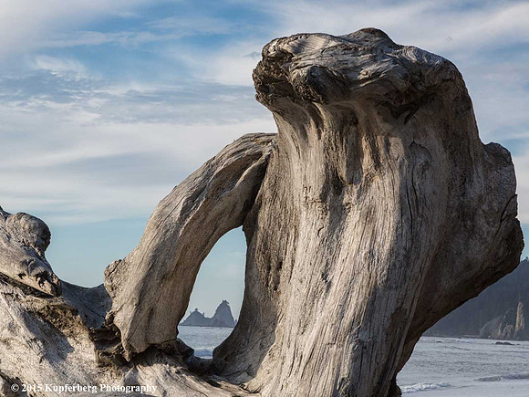 Here's looking at you-Rialto Beach