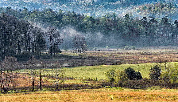Meadow