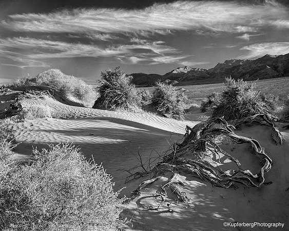 Devils Cornfield_Death Valley NP