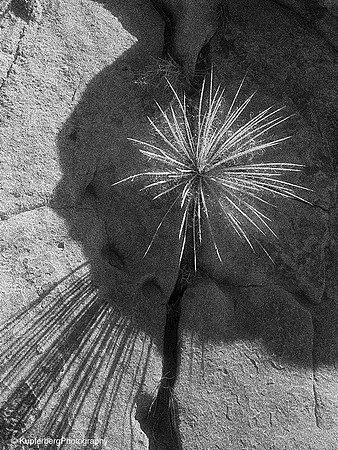 Starburst, Peach Canyon, UT.