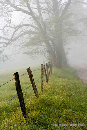 Cades Cove in Fog