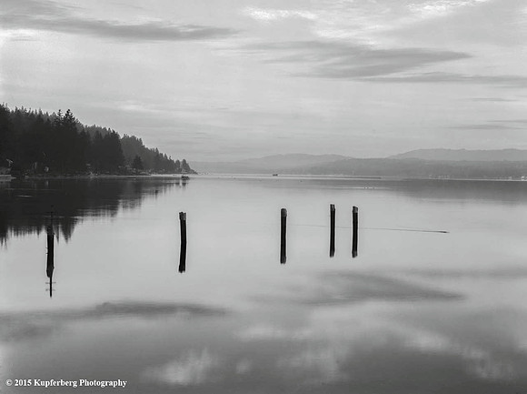 Hood Canal-5poles in the Water