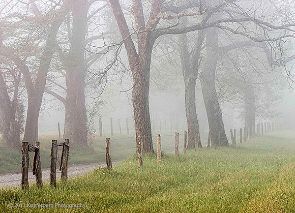Cades Cove in Fog