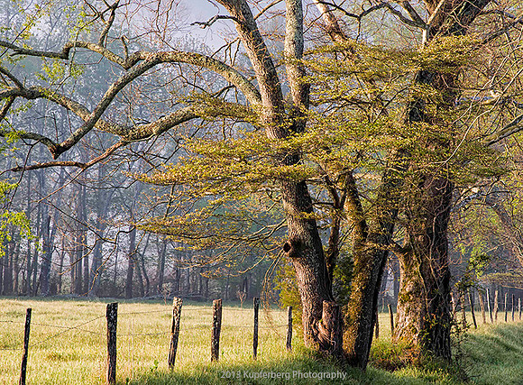 Fence along the Road