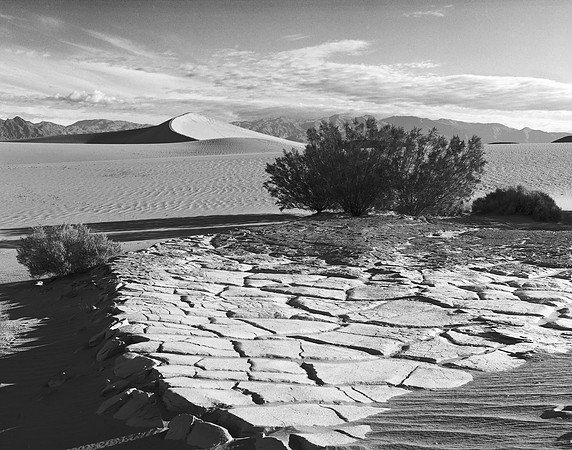 Dried Sand, Death Valley NP. CA
