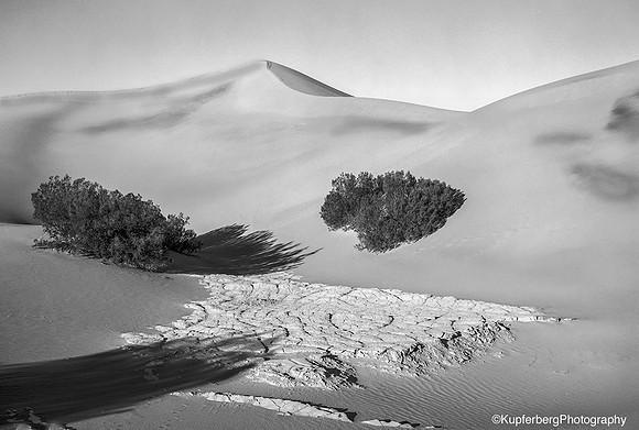 Dunes in the AM-Death Valley NP