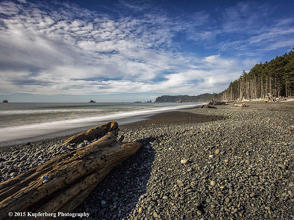 Log on Rialto Beach